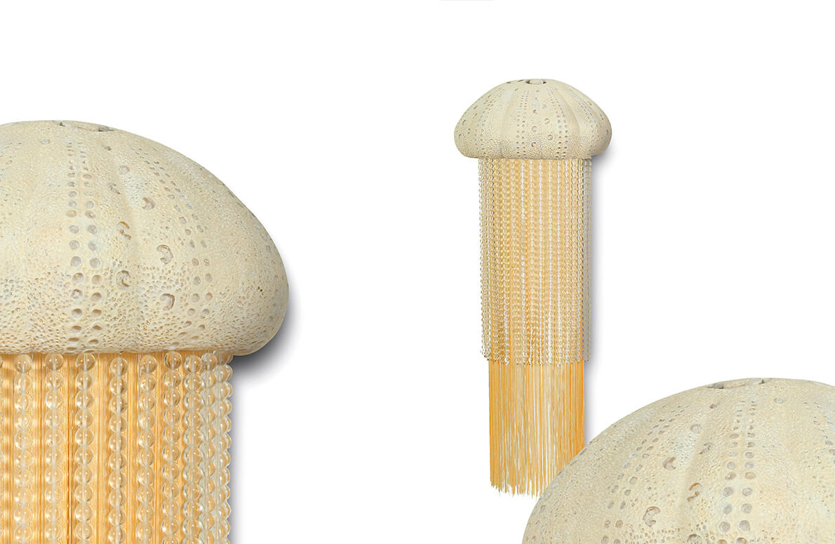 applique demi meduse